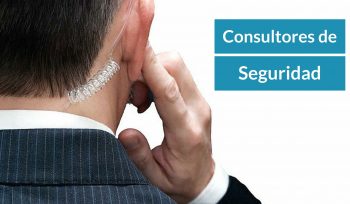 consultor seguridad