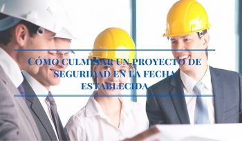 proyecto seguridad hora establecida consultor