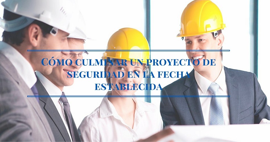 proyecto seguridad hora establecida consultor